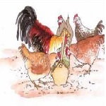 poultry farm business plan in ethiopia pdf free